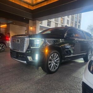 Fredericksburg Bachelorette Parties – Hire a Private Driver for the Ultimate Experience